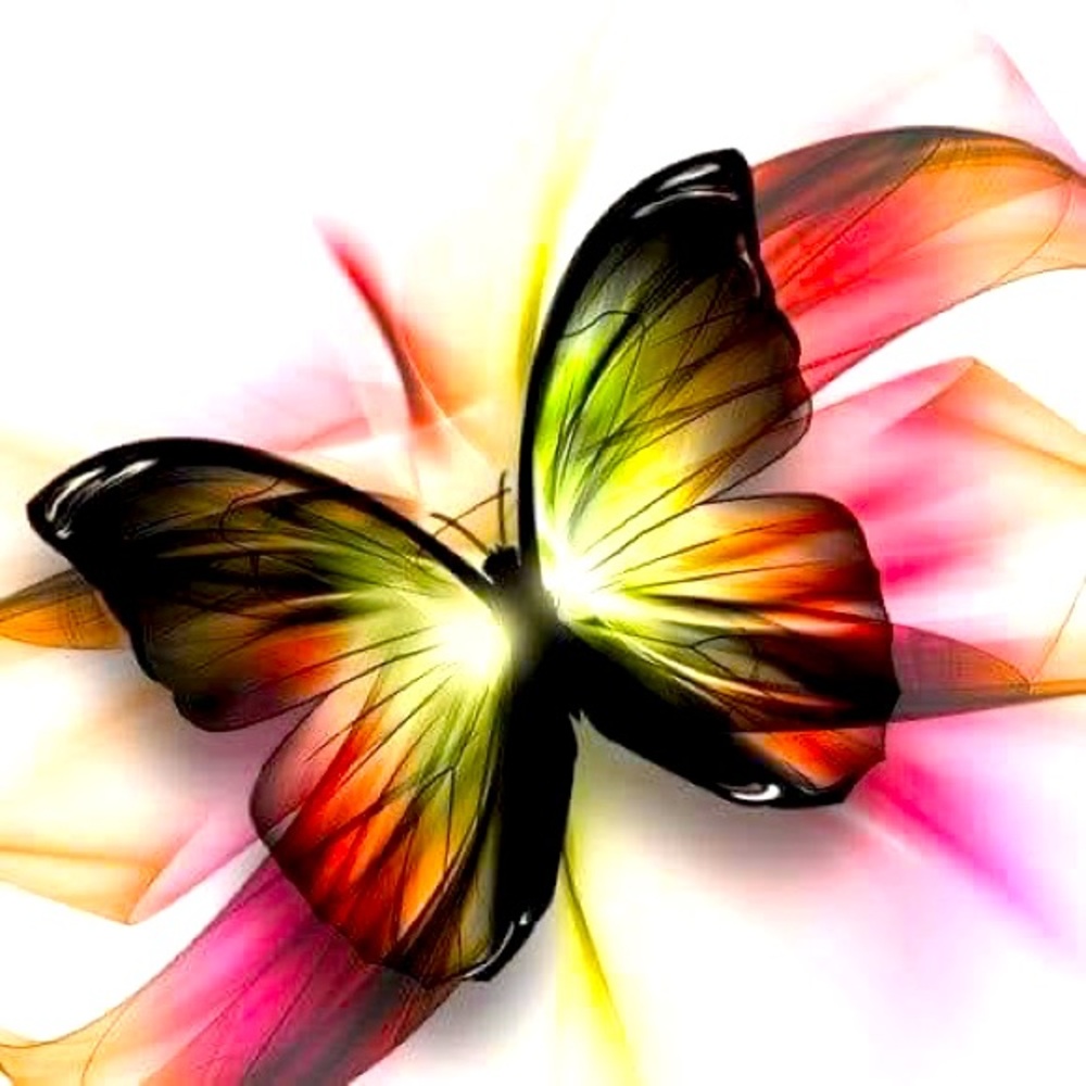 Meet your posher-Tyedyedbutterfly Boutique